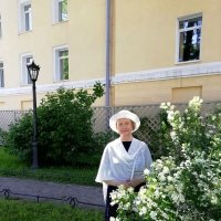 Когда цветёт жасмин! :: Нина Андронова