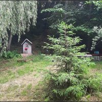 В лесу родилась ёлочка :: Сеня Белгородский