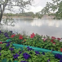 Город в цветах :: Андрей Хлопонин Город в цветах :: Андрей Хлопонин