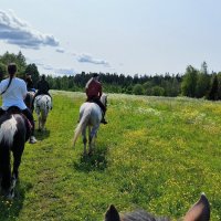 Летняя сказка. :: Ольга 