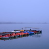 ......... :: Вадим Виловатый