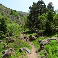 ПО ГОРАМ. :: Виктор Осипчук