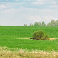 Крыжинское :: Sergei Vikulov Крыжинское :: Sergei Vikulov