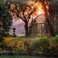 В лучах света... :: Алекс Римский