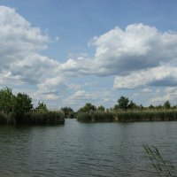 Красота у Дона. :: Виктор 