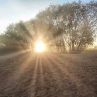 Объятия :: Денис Бочкарёв