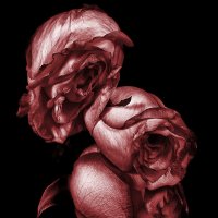 *** :: Геннадий Чеботарев