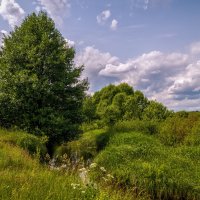 Родные берега 7 :: Андрей Дворников