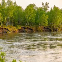 ... :: Жора Житников