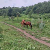 Talgar. :: Murat Bukaev 