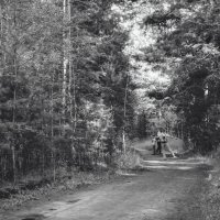 Какой чудесный день (чб) :: Сергей Царёв Какой чудесный день (чб) :: Сергей Царёв