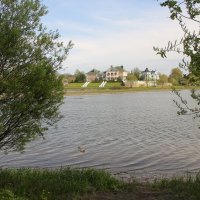 Стрельна. Орловский пруд :: Наталья Герасимова Стрельна. Орловский пруд :: Наталья Герасимова