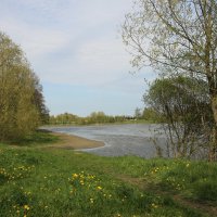 Стрельна. Орловский пруд :: Наталья Герасимова