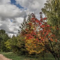 Панорама :: SanSan 