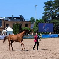 Золото России. :: Ольга 