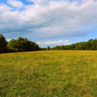 Ядрин. Заливные луга в пойме реки Суры. :: Пётр Чернега