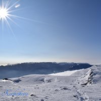 Природа Крыма :: Amazing Cosmea