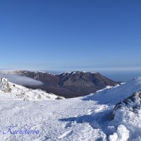 Природа Крыма :: Amazing Cosmea