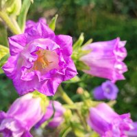 ,,, :: Сергей Тимоновский ,,, :: Сергей Тимоновский