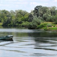 р. Клязьма у городского пляжа :: Александр Ильчевский 