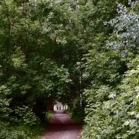 *** :: Валентина Береснева *** :: Валентина Береснева