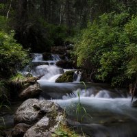 Лесной ручей 2 :: Вениамин Скородумов