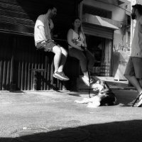 Трое не считая собаки :: alex chernin