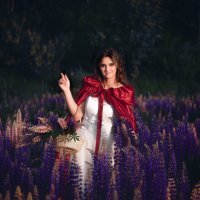 Красная шапочка :: Ольга Зинченко