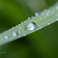 После дождя :: Александр Синдерёв