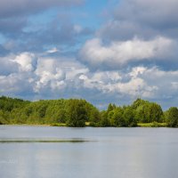 Летний пейзаж на озере :: Александр Синдерёв
