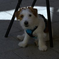 И все таки она красиво позирует  :: ujgcvbif 