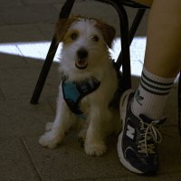 И все таки она красиво позирует  :: ujgcvbif 