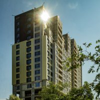 Яркое солнце :: Анатолий Чикчирный