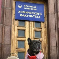 Memory … :: Анна Камс Memory … :: Анна Камс