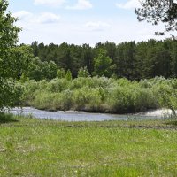 Летние картинки :: Ольга 