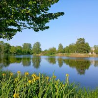 Июньский пейзаж. :: Лия ☼