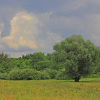 Туча :: Евгений Корьевщиков