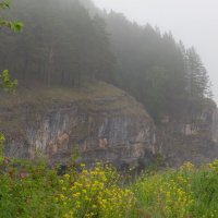 Цветущий июнь :: Евгений Тарасов 