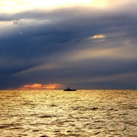 На закате :: Валерий На закате :: Валерий