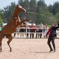 *** :: Алексей Смирнов *** :: Алексей Смирнов