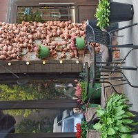 .... :: Галина .... :: Галина