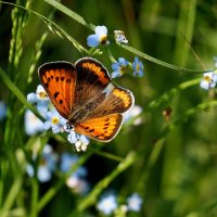 из снятого сегодня 5 :: Александр Прокудин из снятого сегодня 5 :: Александр Прокудин