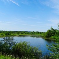 Наше лето (репортаж из поездок по области). :: Милешкин Владимир Алексеевич 