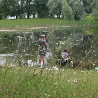 "А у реки, а у реки, а у реки..." :: Дмитрий И_ "А у реки, а у реки, а у реки..." :: Дмитрий И_