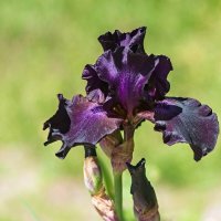 3850 :: Alex . 3850 :: Alex .