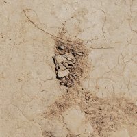 AMIGO :: Юрий Вовк