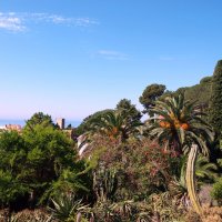 Барселона. :: Владимир Драгунский