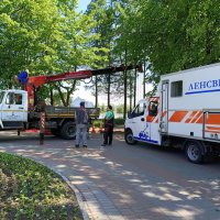 Рабочий момент в парке... :: Мария Васильева