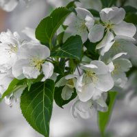 ... :: Жора Житников ... :: Жора Житников