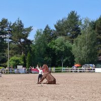 Иппосфера - 2025..Выступает Татьяна Носова. :: Ольга 